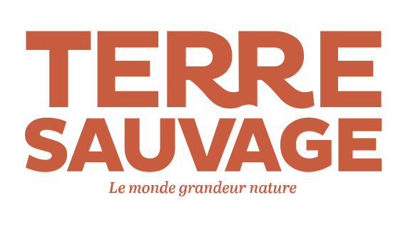 Terre Sauvage