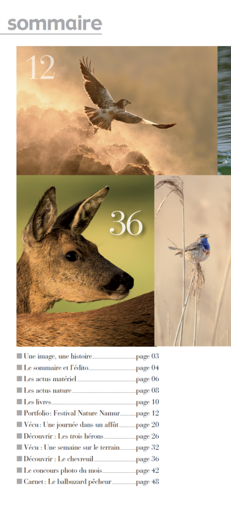 Sommaire du magazine Image & Nature décembre 2023 – février 2024