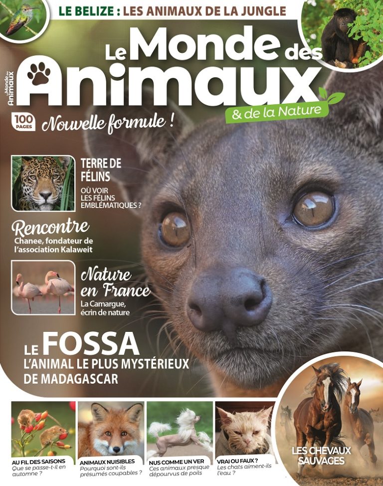 Le Monde des Animaux octobre - novembre 2023