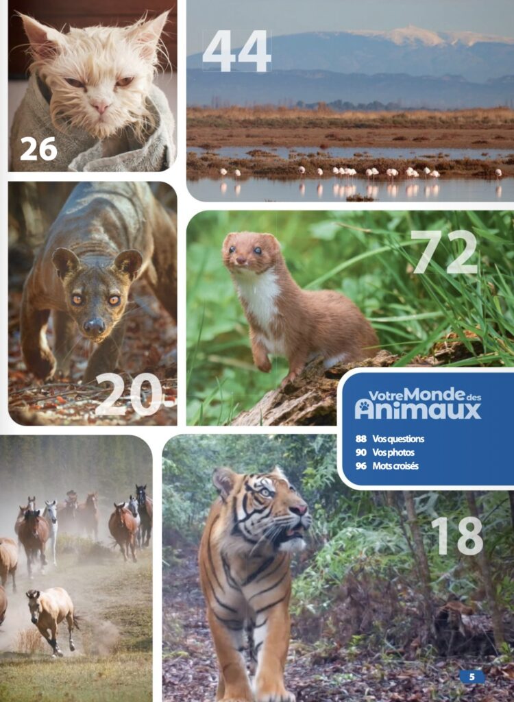 Sommaire du magazine Le Monde des Animaux octobre – novembre 2023