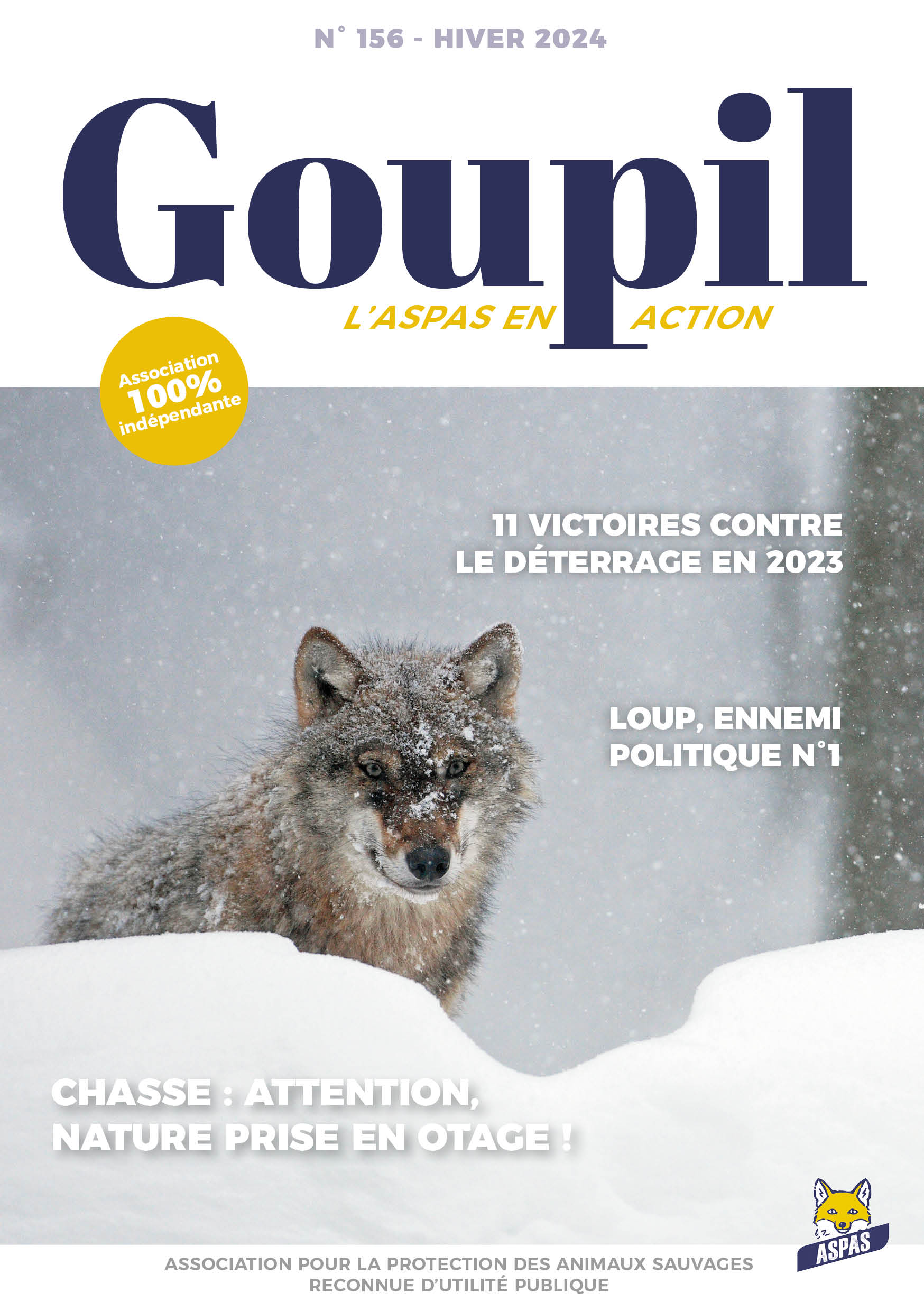 Goupil hiver 2024