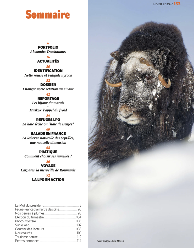 Sommaire du magazine L’Oiseau mag hiver 2023