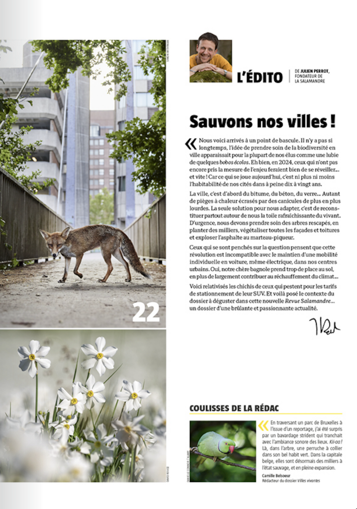 Éditorial du magazine Revue Salamandre avril – mai 2024