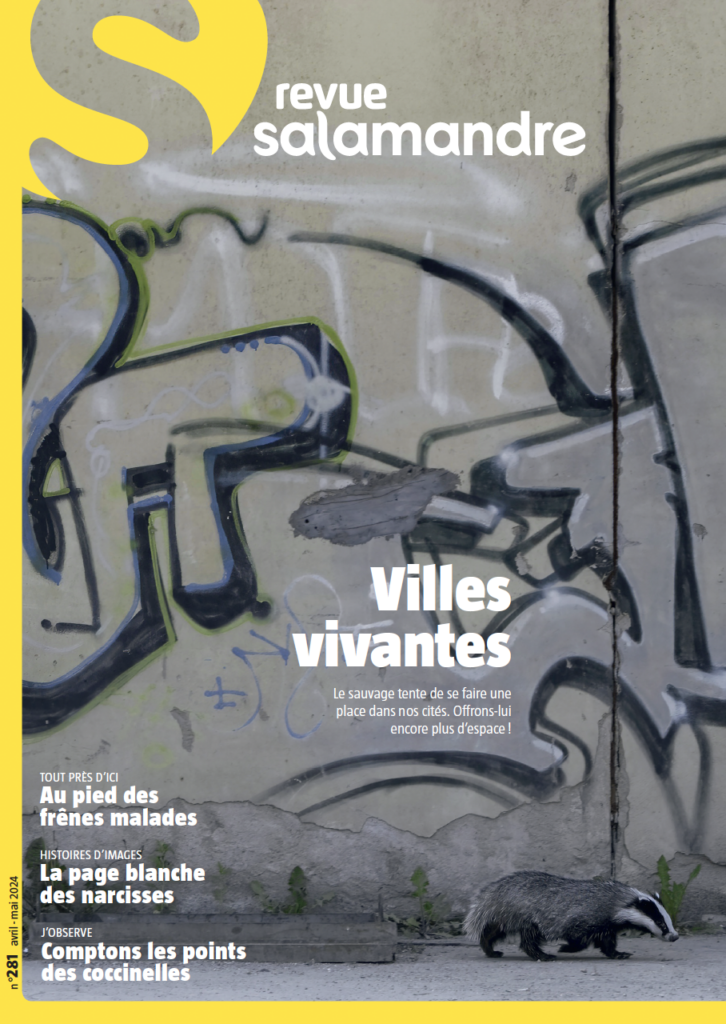 Revue Salamandre avril – mai 2024