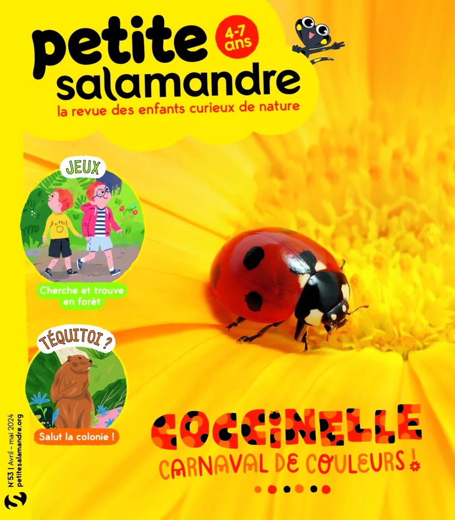 Petite Salamandre avril – mai 2024