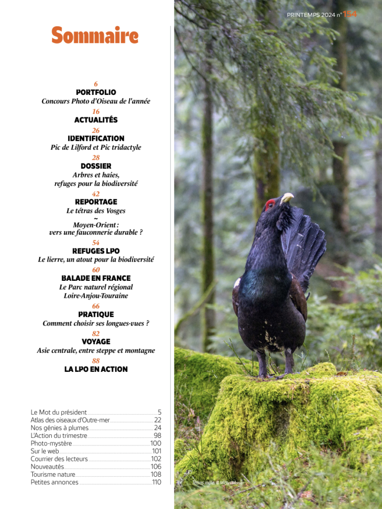 Sommaire du magazine L’Oiseau mag printemps 2024