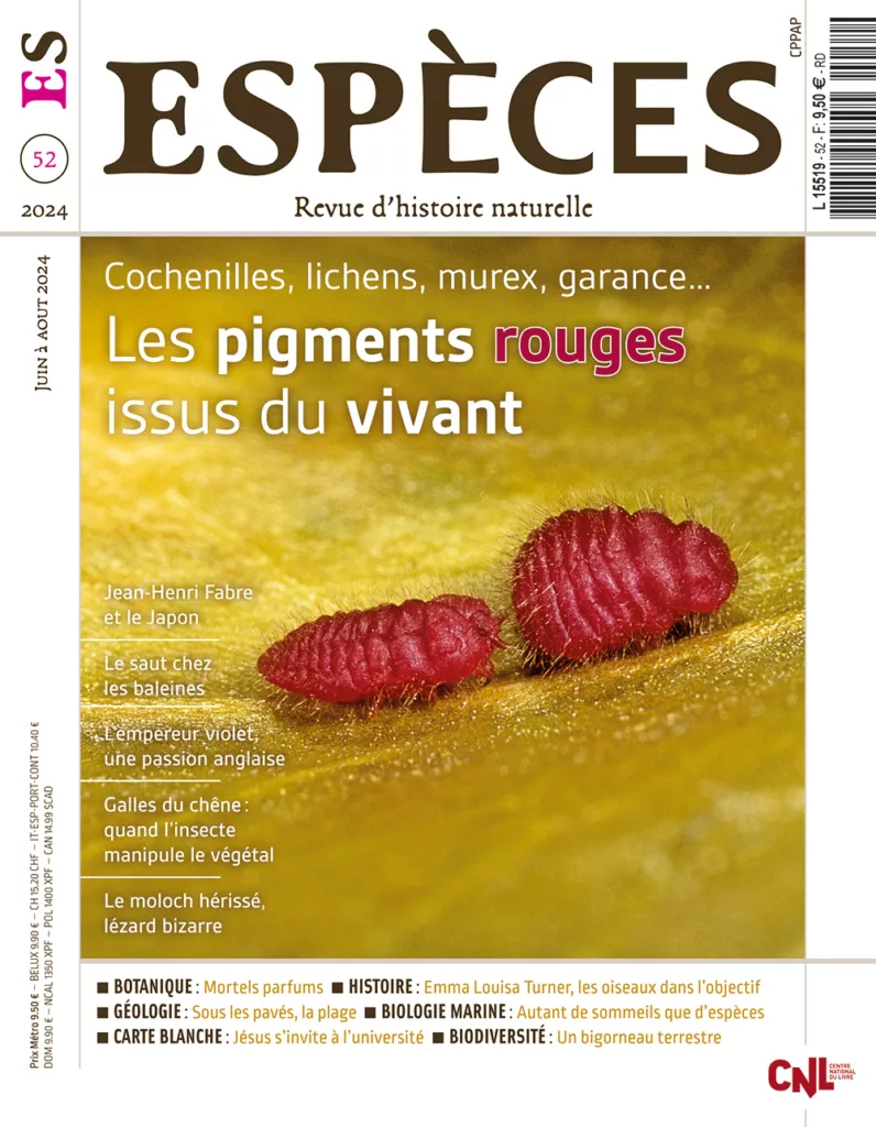 Espèces juin – août 2024