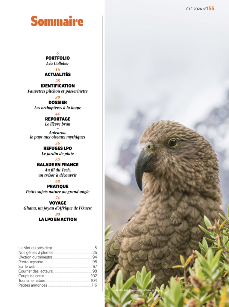 Sommaire du magazine L’Oiseau mag été 2024