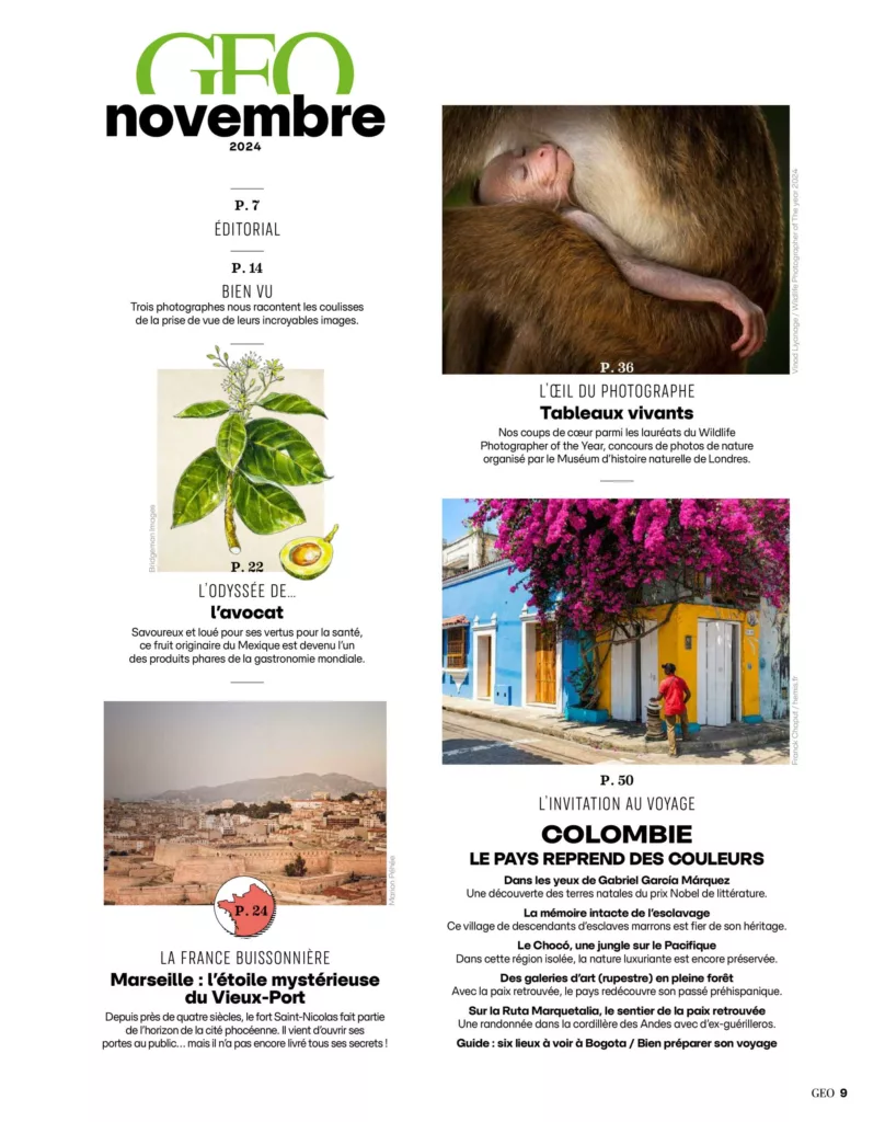 Sommaire du magazine GEO novembre 2024