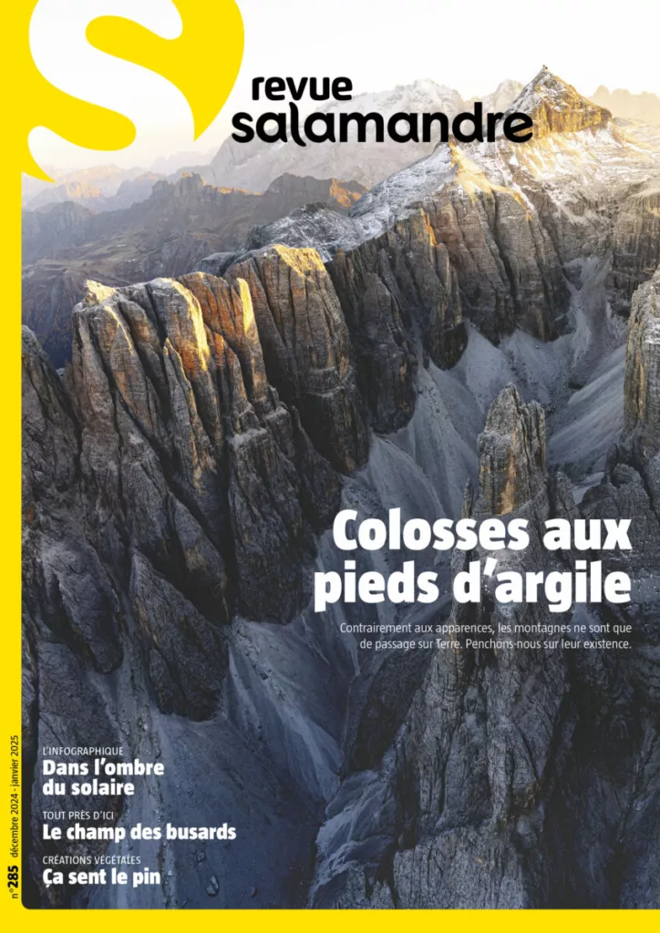 Revue Salamandre décembre 2024 – janvier 2025