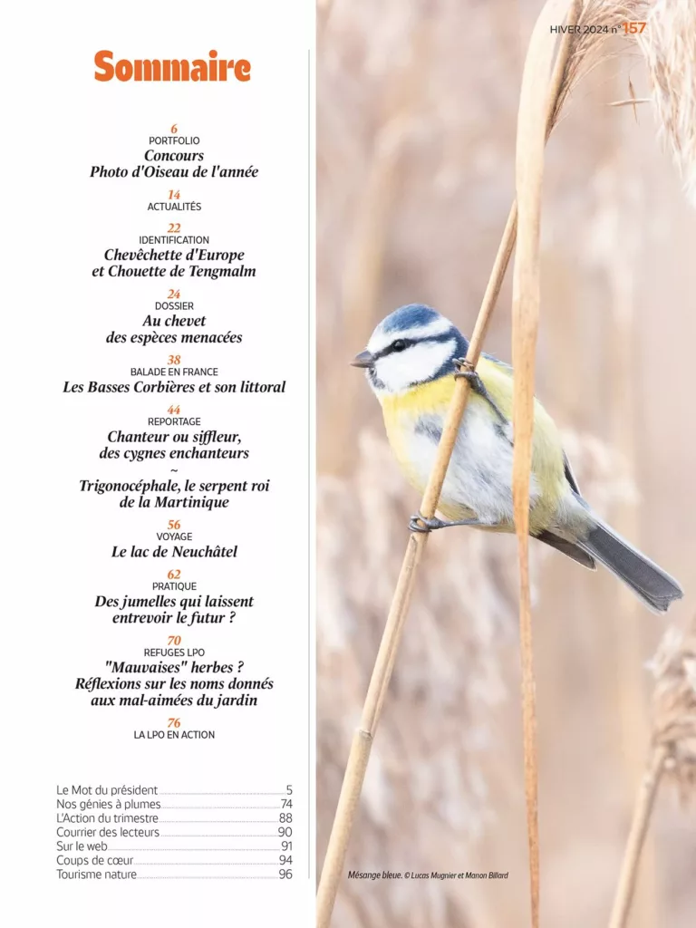 Sommaire du magazine L’Oiseau mag hiver 2024