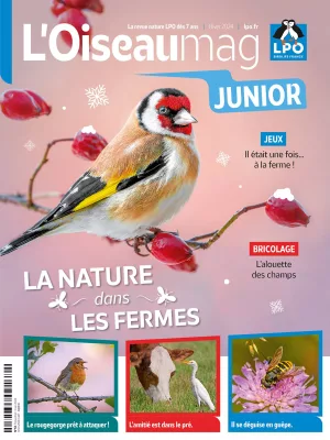 L’Oiseau mag junior hiver 2024