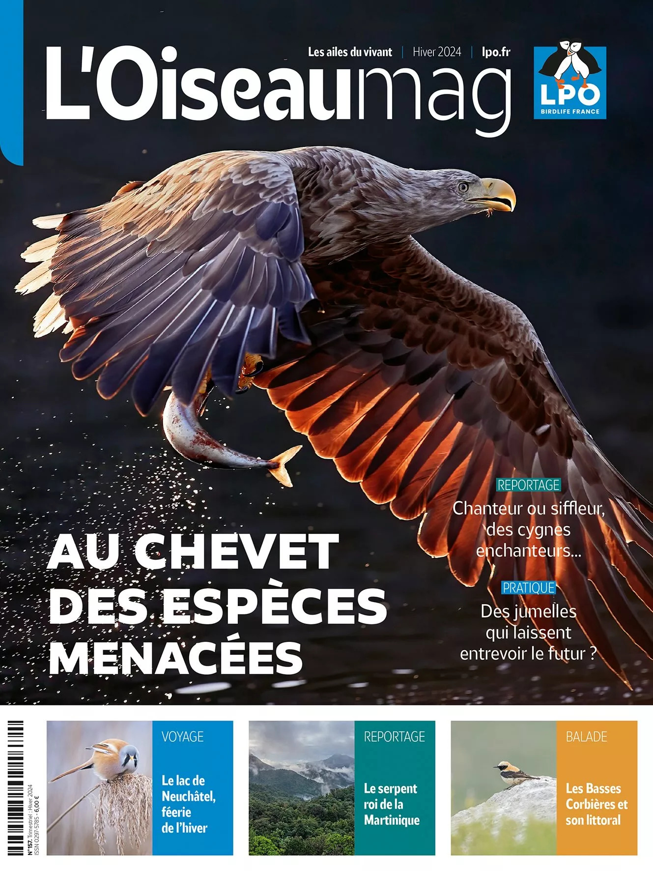 L’Oiseau mag hiver 2024