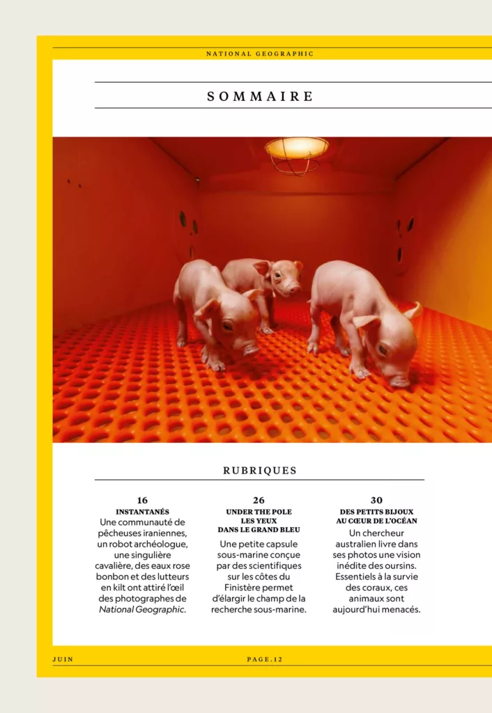Sommaire du magazine National Geographic juin 2025