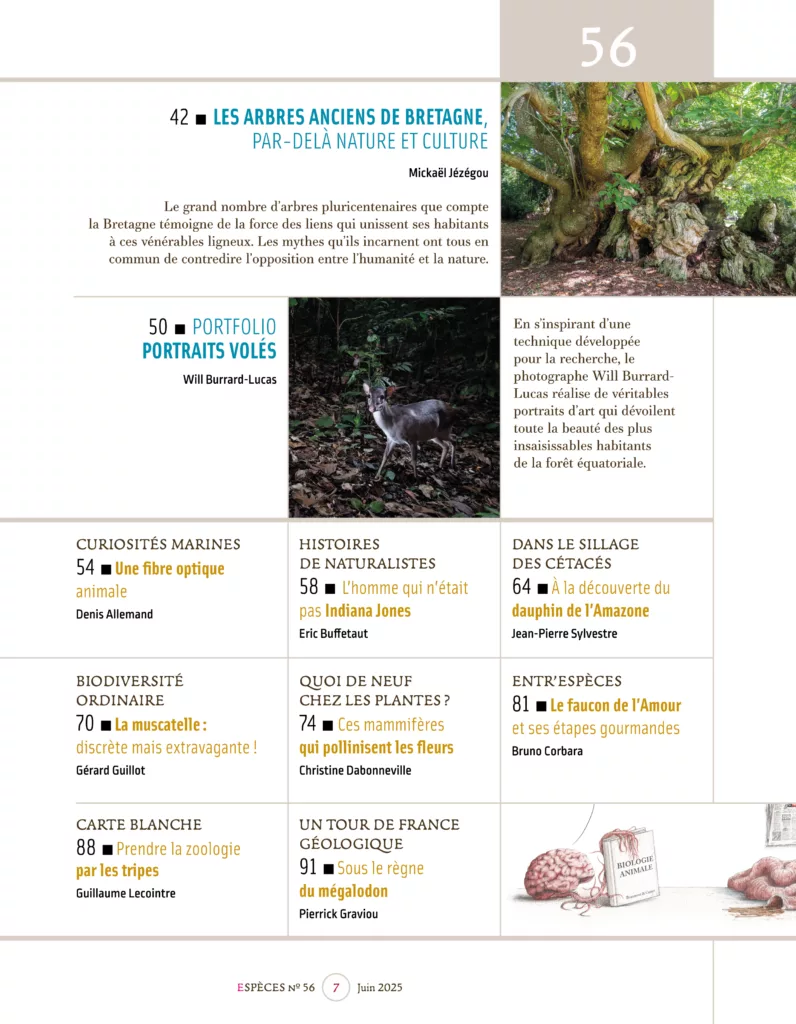 Sommaire du magazine Espèces juin – août 2025