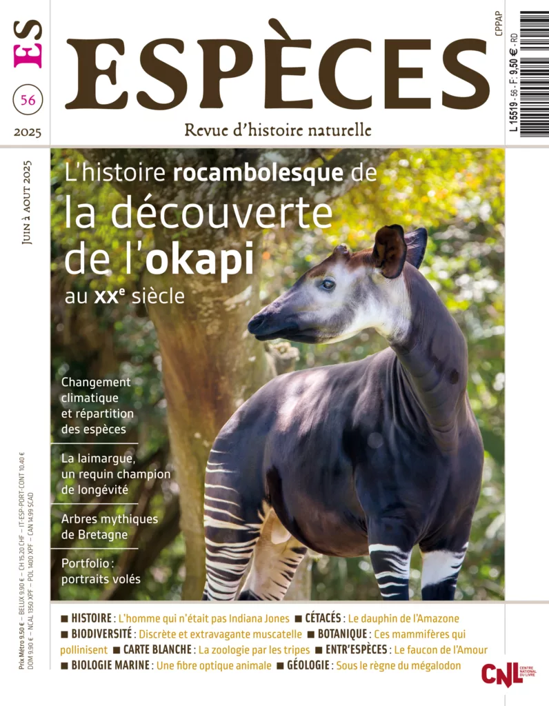 Espèces juin – août 2025