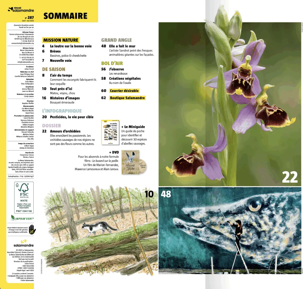 Sommaire du magazine Revue Salamandre avril – mai 2025
