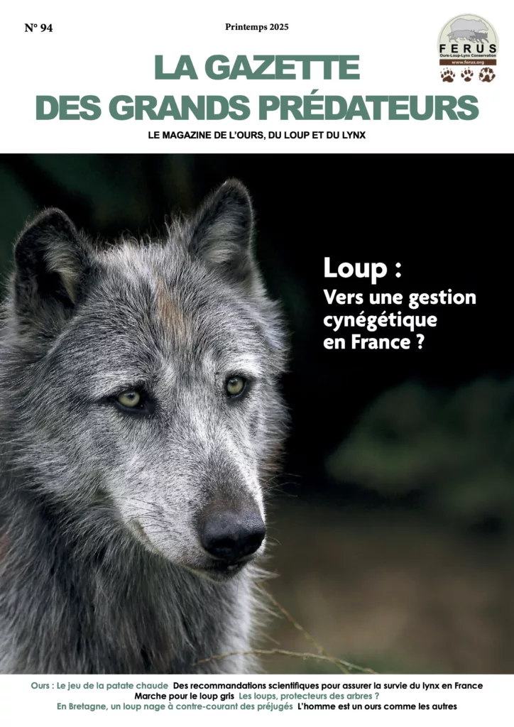 La gazette des grands prédateurs printemps 2025