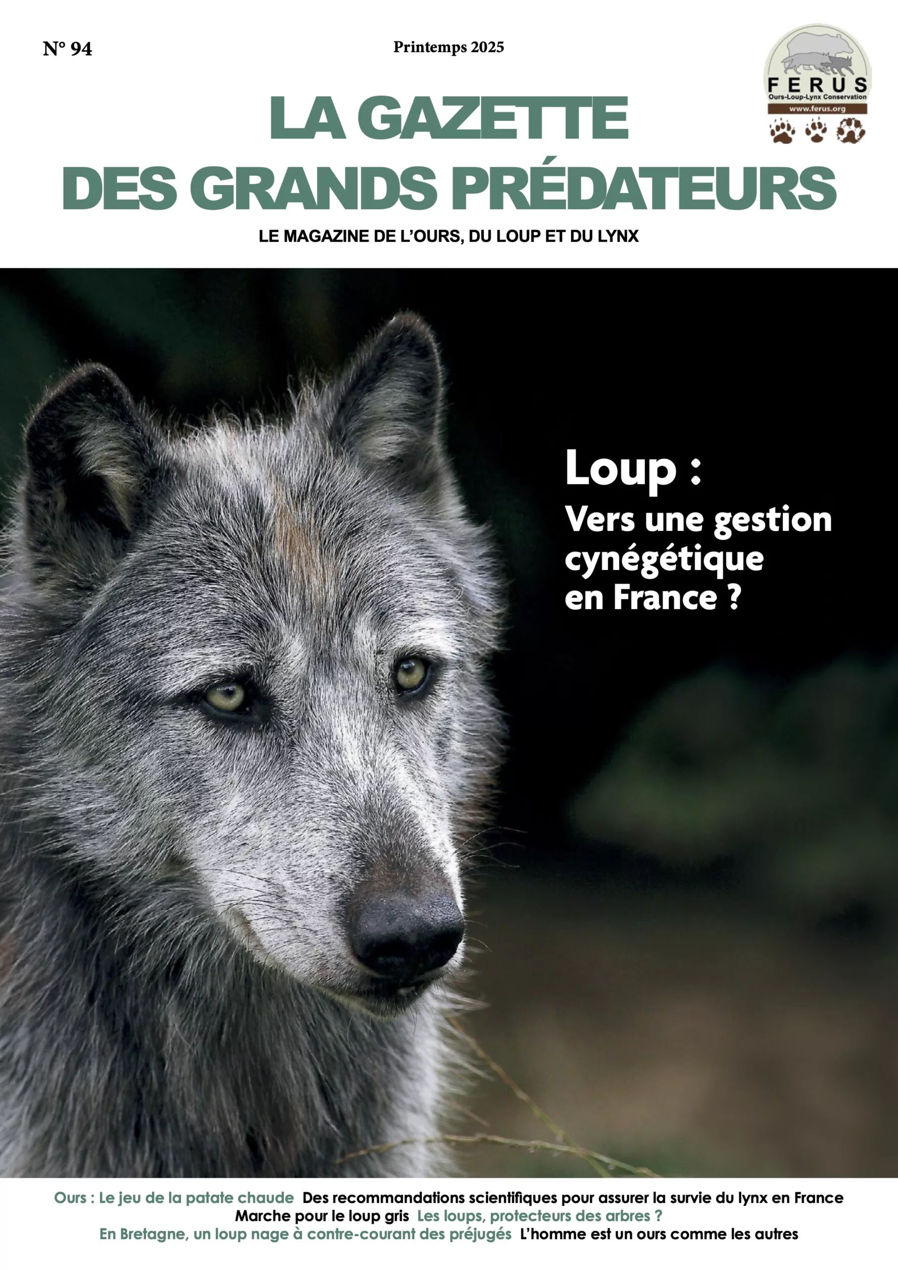 La gazette des grands prédateurs printemps 2025
