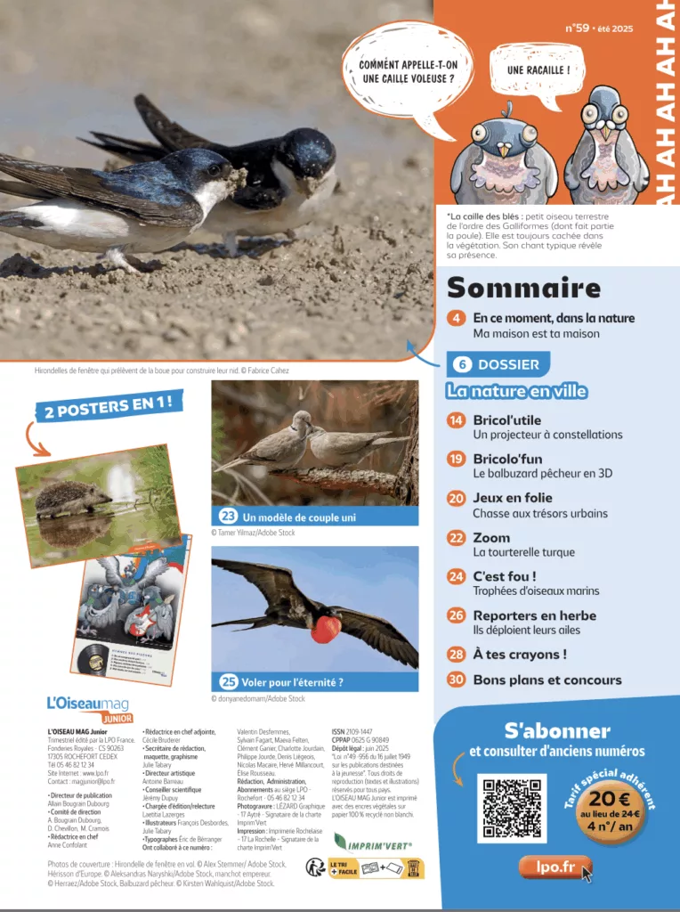 Sommaire du magazine L’oiseau mag junior été 2025