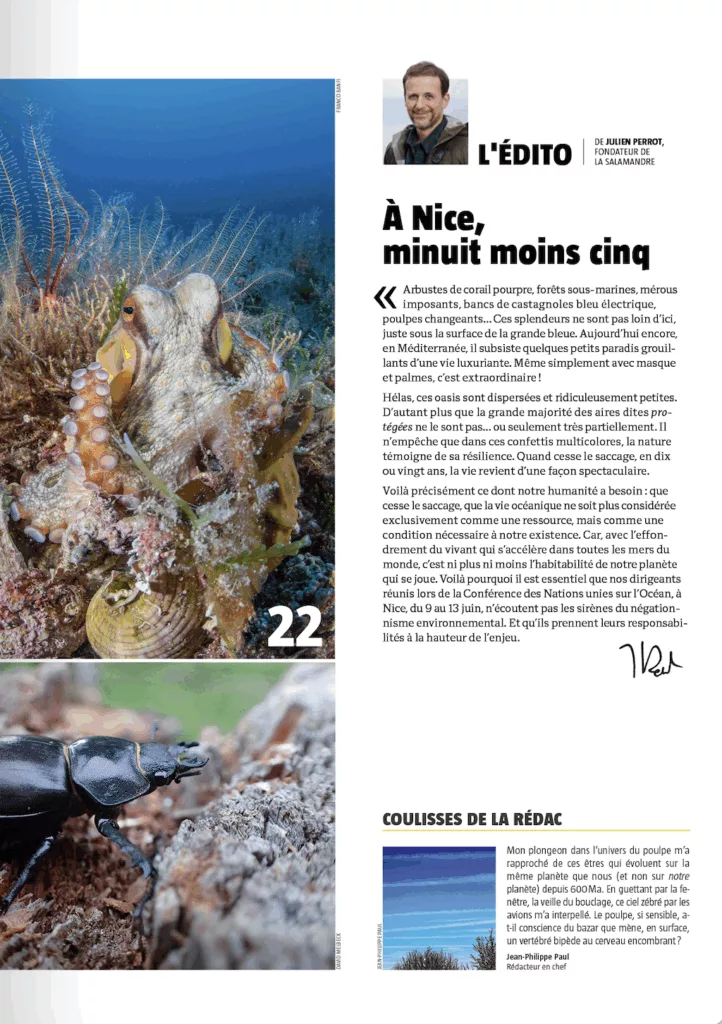 Éditorial du magazine Revue Salamandre juin – juillet 2025