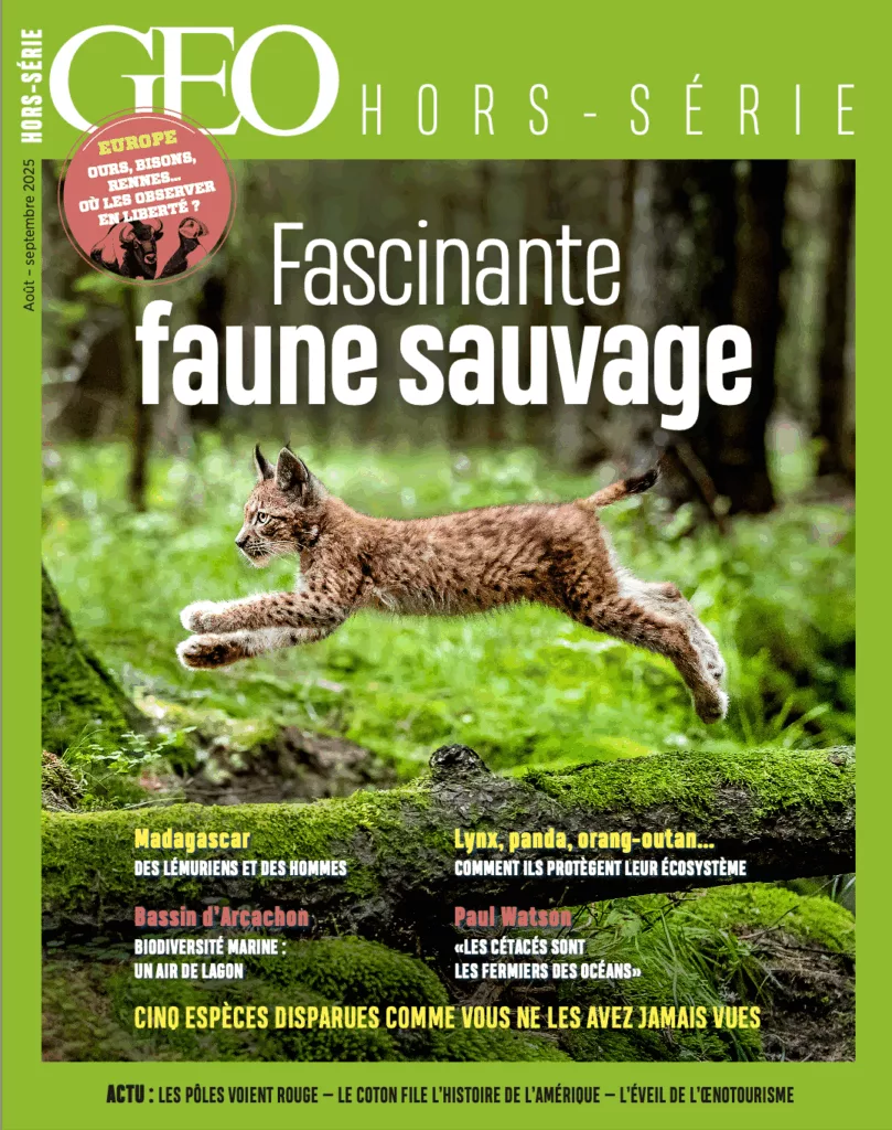 Hors-série GEO « Fascinante faune sauvage »
