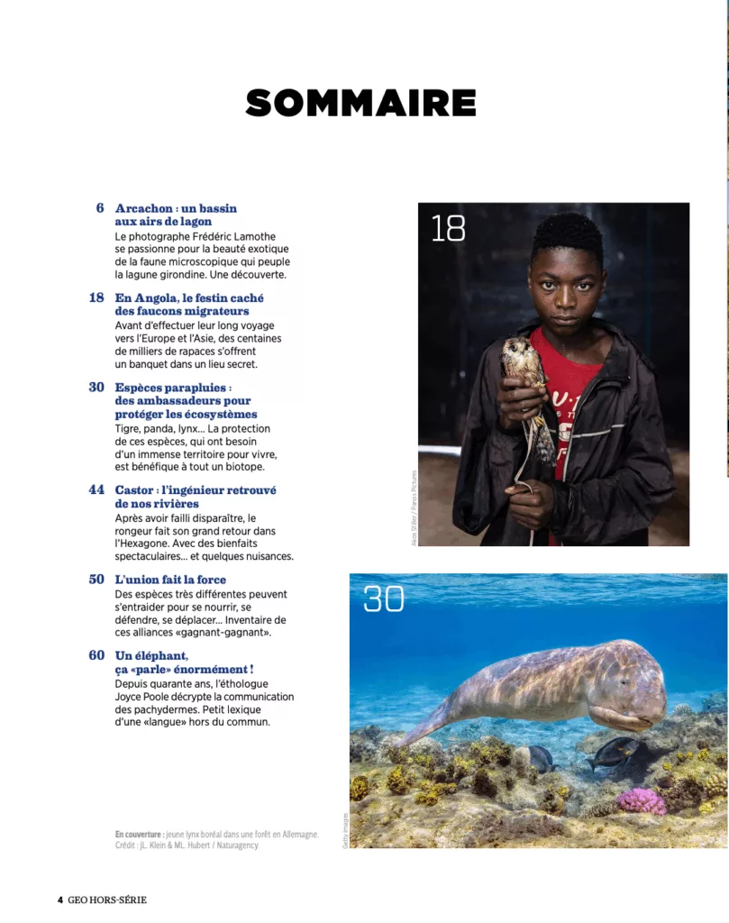 Sommaire du magazine Hors-série GEO « Fascinante faune sauvage »