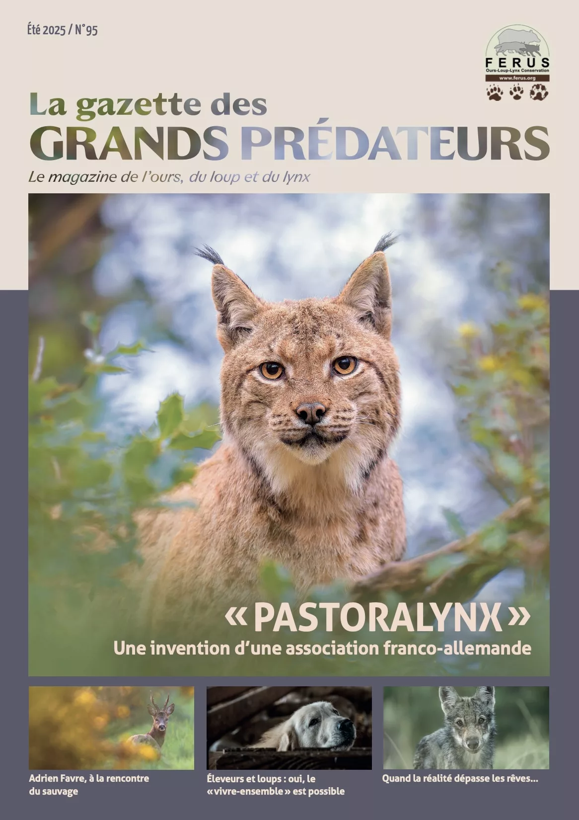 La gazette des grands prédateurs été 2025