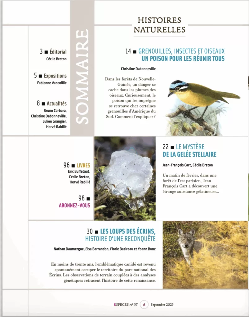 Sommaire du magazine Espèces septembre – novembre 2025