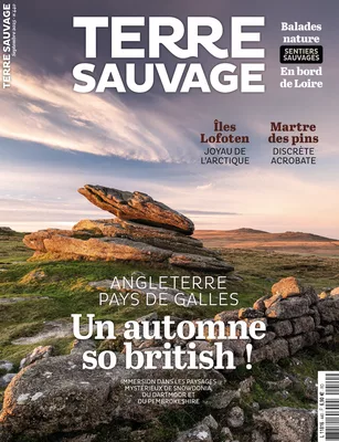 Terre Sauvage septembre 2025