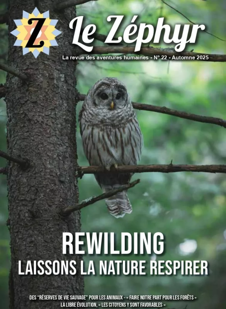 Le Zéphyr automne 2025