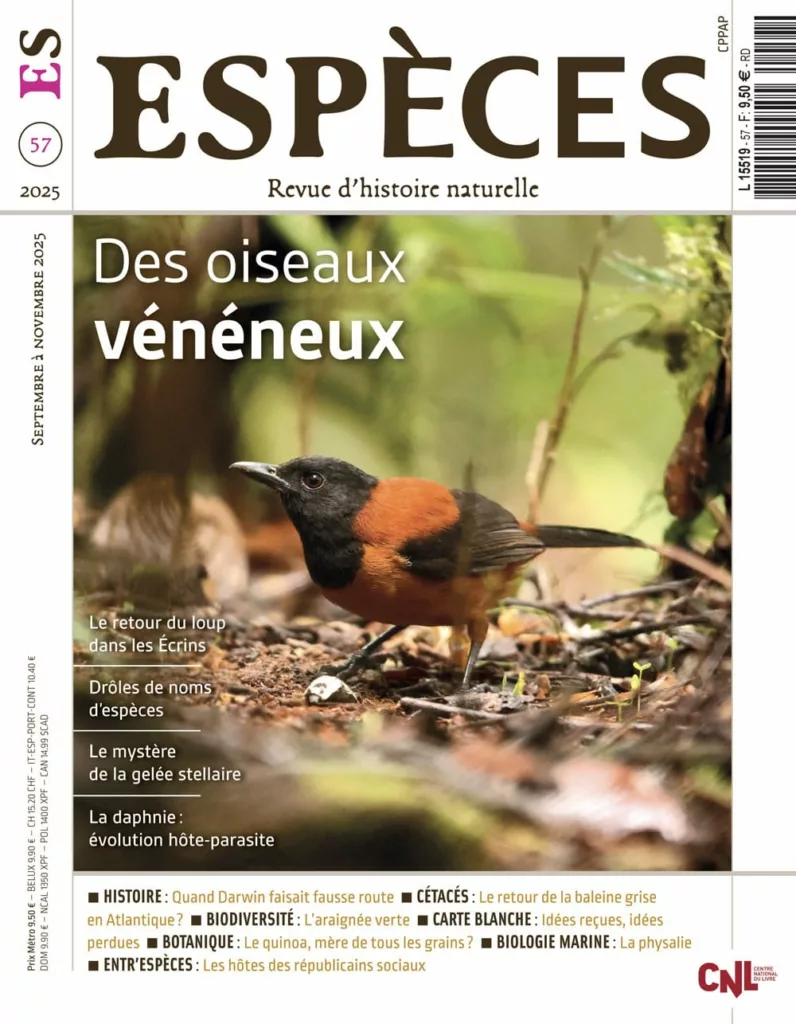 Espèces septembre – novembre 2025