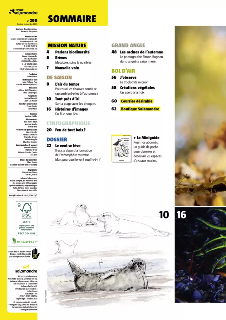 Sommaire du magazine Revue Salamandre octobre – novembre 2025