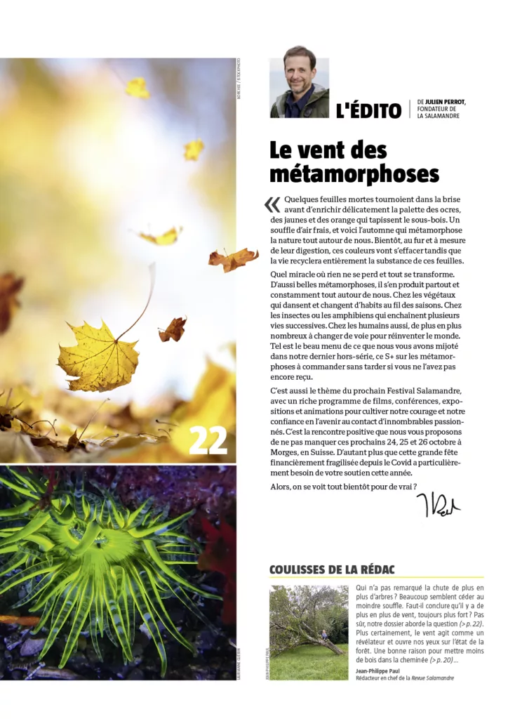 Éditorial du magazine Revue Salamandre octobre – novembre 2025