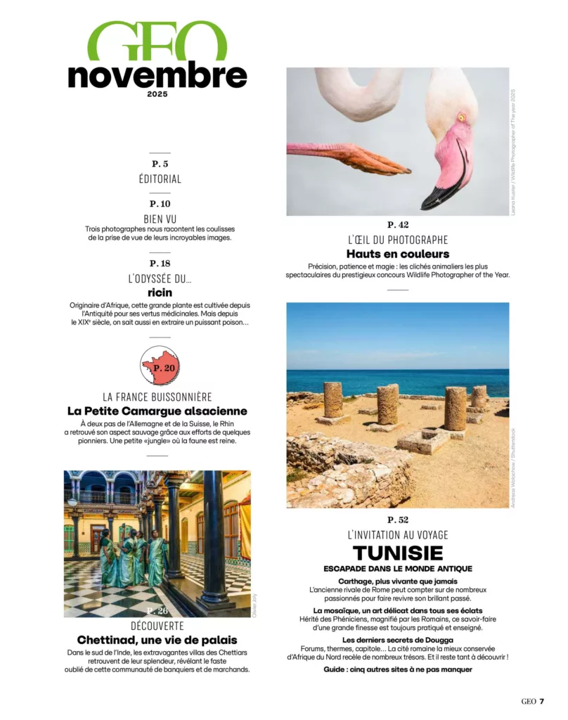 Sommaire du magazine GEO novembre 2025