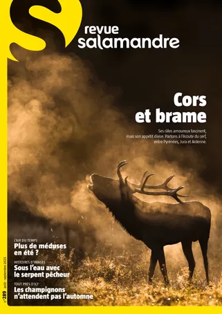 Salamandre Junior octobre – novembre 2025