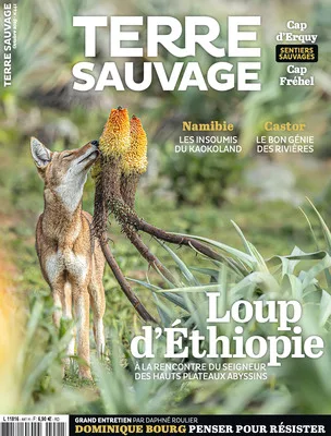 Terre Sauvage octobre 2025