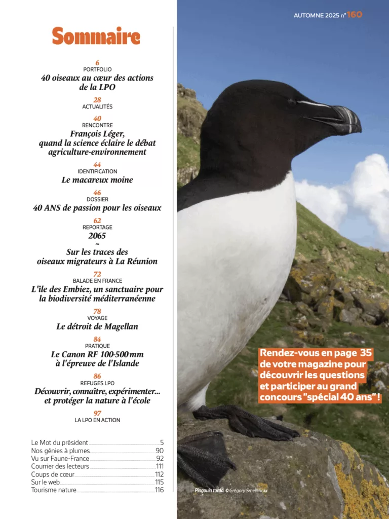 Sommaire du magazine L’Oiseau mag automne 2025