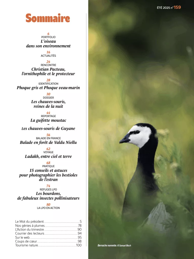 Sommaire du magazine L&rsquo;Oiseau mag été 2025