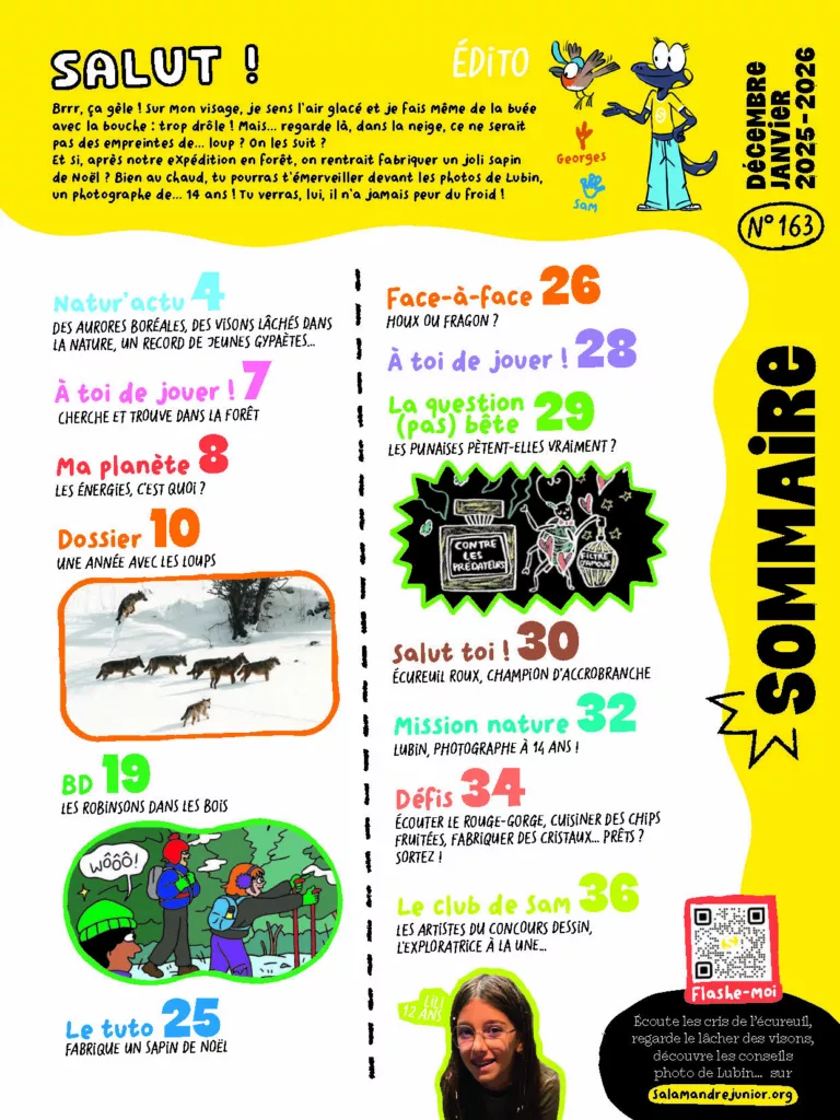 Sommaire du magazine Salamandre Junior décembre 2025 – janvier 2026