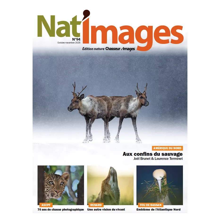 Nat’Images octobre – novembre 2025