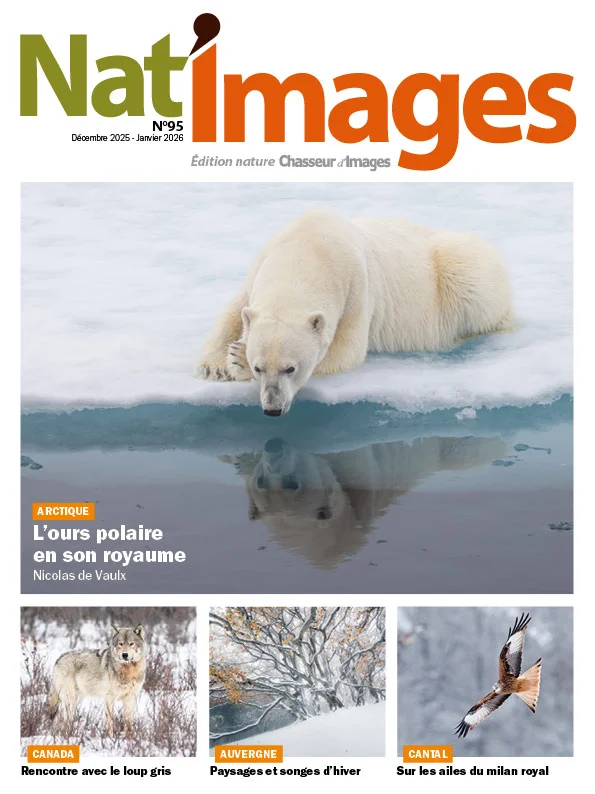 Nat’Images décembre 2025 – janvier 2026