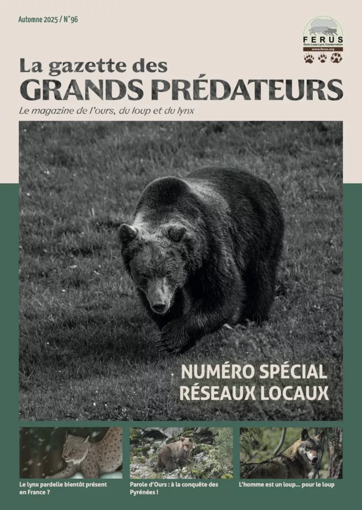 La gazette des grands prédateurs automne 2025
